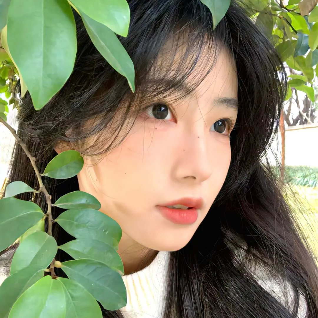 我在大秦拐公主